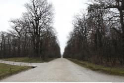 Photo Textures of Nature